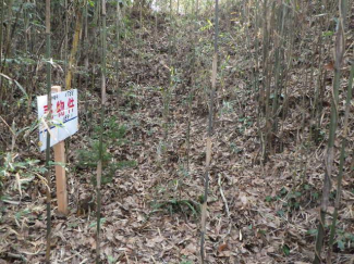 茨城県鉾田市台濁沢の売地の画像