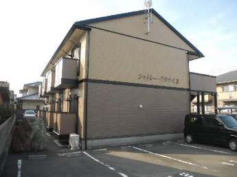 完成写真