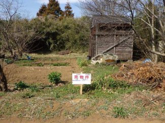 千葉県佐倉市飯野の売地の画像