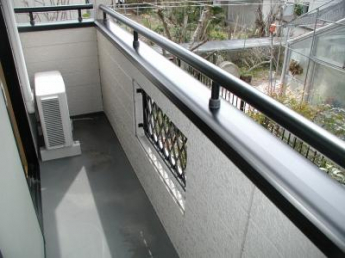 パレスオーキッドの画像