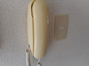 【セキュリティ】