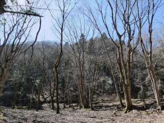 兵庫県丹波篠山市上筱見の画像