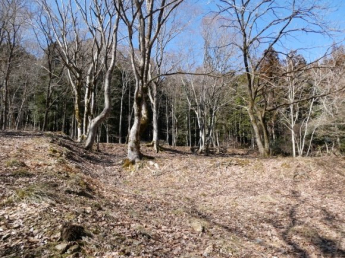 兵庫県丹波篠山市上筱見の画像