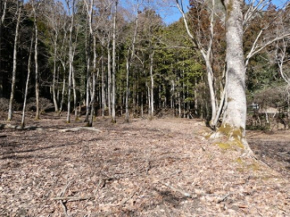 兵庫県丹波篠山市上筱見の画像