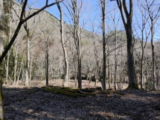 兵庫県丹波篠山市上筱見の画像