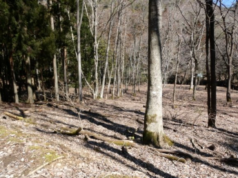 兵庫県丹波篠山市上筱見の画像