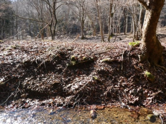 兵庫県丹波篠山市上筱見の画像