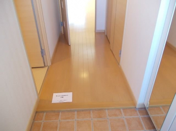 落ち着いた玄関です