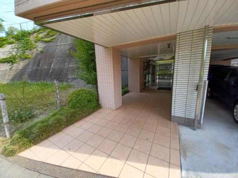 プレミュールの画像