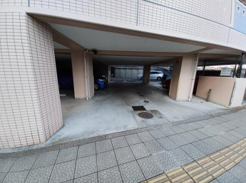 プレミュールの画像