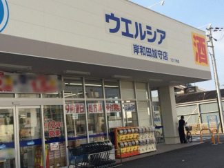 ウエルシア岸和田加守店まで820m