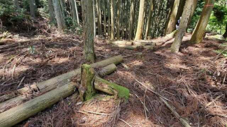 松山市立岩中村の売地の画像