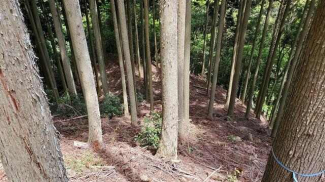 松山市立岩中村の売地の画像