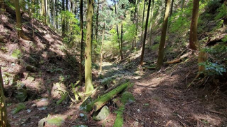 松山市立岩中村の売地の画像