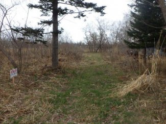 北海道札幌市手稲区手稲山口の売地の画像