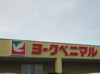 ヨークベニマル新田東店まで1550m