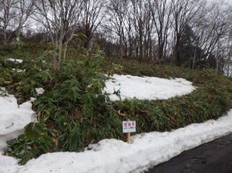 北海道小樽市真栄２丁目の売地の画像