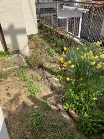 園芸や家庭菜園などを楽しめるお庭付きです