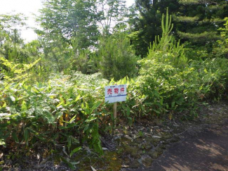 新潟県三条市大沢の売地の画像