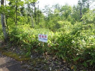 新潟県三条市大沢の売地の画像