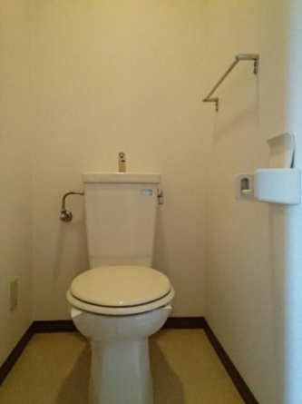 落ち着いた色調のトイレです