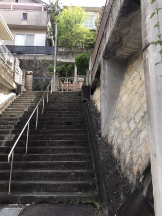 窓からは緑が見え、明るいリビング