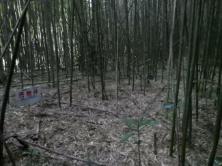 福岡県糸島市志摩桜井の売地の画像