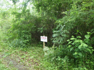 栃木県那須郡那須町大字大島の売地の画像