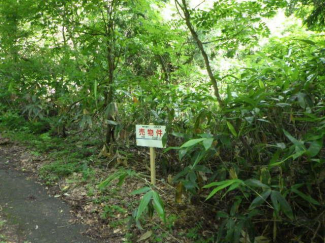 新潟県三条市大沢の売地の画像