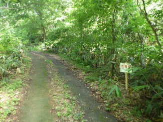 新潟県三条市大沢の売地の画像