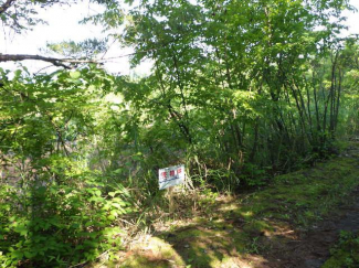 新潟県三条市大沢の売地の画像