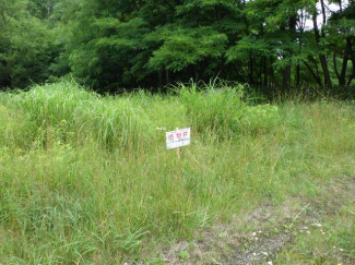 北海道札幌市南区石山の売地の画像