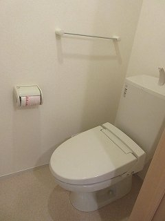 落ち着いた色調のトイレです