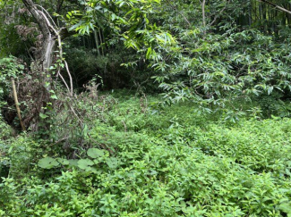 下小倉　売り土地の画像