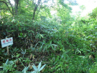 岡山県真庭市蒜山下徳山の売地の画像