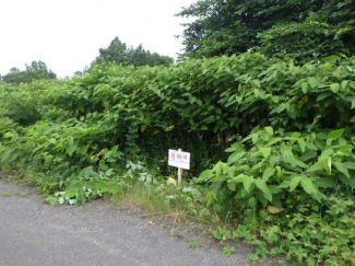 北海道札幌市東区中沼町の売地の画像