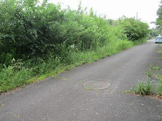 兵庫県洲本市五色町鳥飼浦の売地の画像