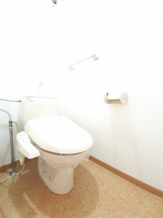 落ち着いた色調のトイレです