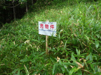 栃木県日光市所野の売地の画像