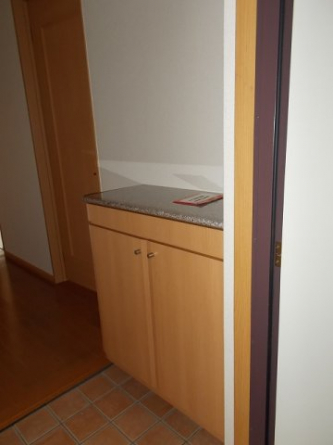 落ち着いた玄関です