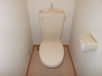 落ち着いたトイレです