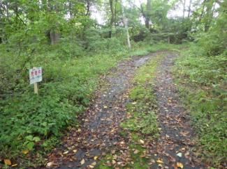 群馬県吾妻郡嬬恋村大字大前の売地の画像