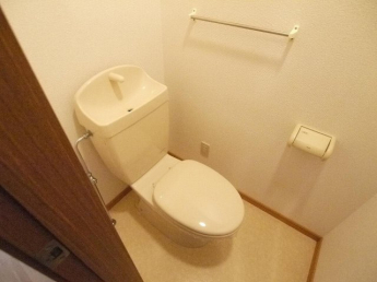 落ち着いた色調のトイレです