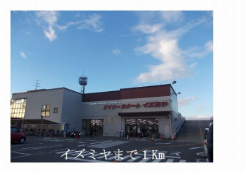 デイリーカナートイズミヤまで1000m