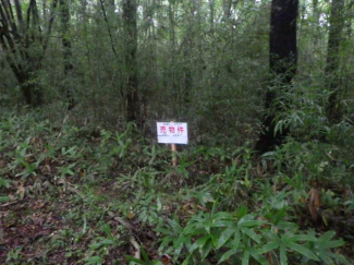 栃木県那須郡那須町大字高久丙の売地の画像