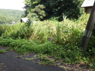 新潟県柏崎市西山町大津の売地の画像