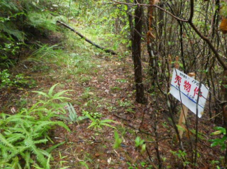 岐阜県可児市大森の売地の画像