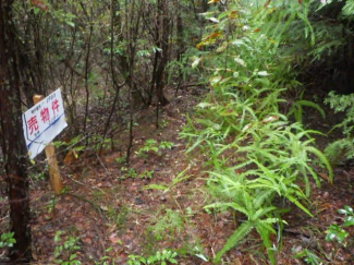 岐阜県可児市大森の売地の画像