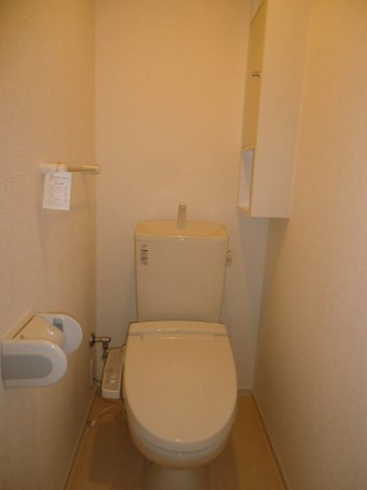 落ち着いた色調のトイレです