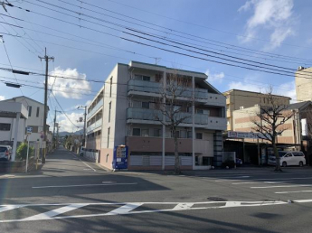 外観も気になるポイント